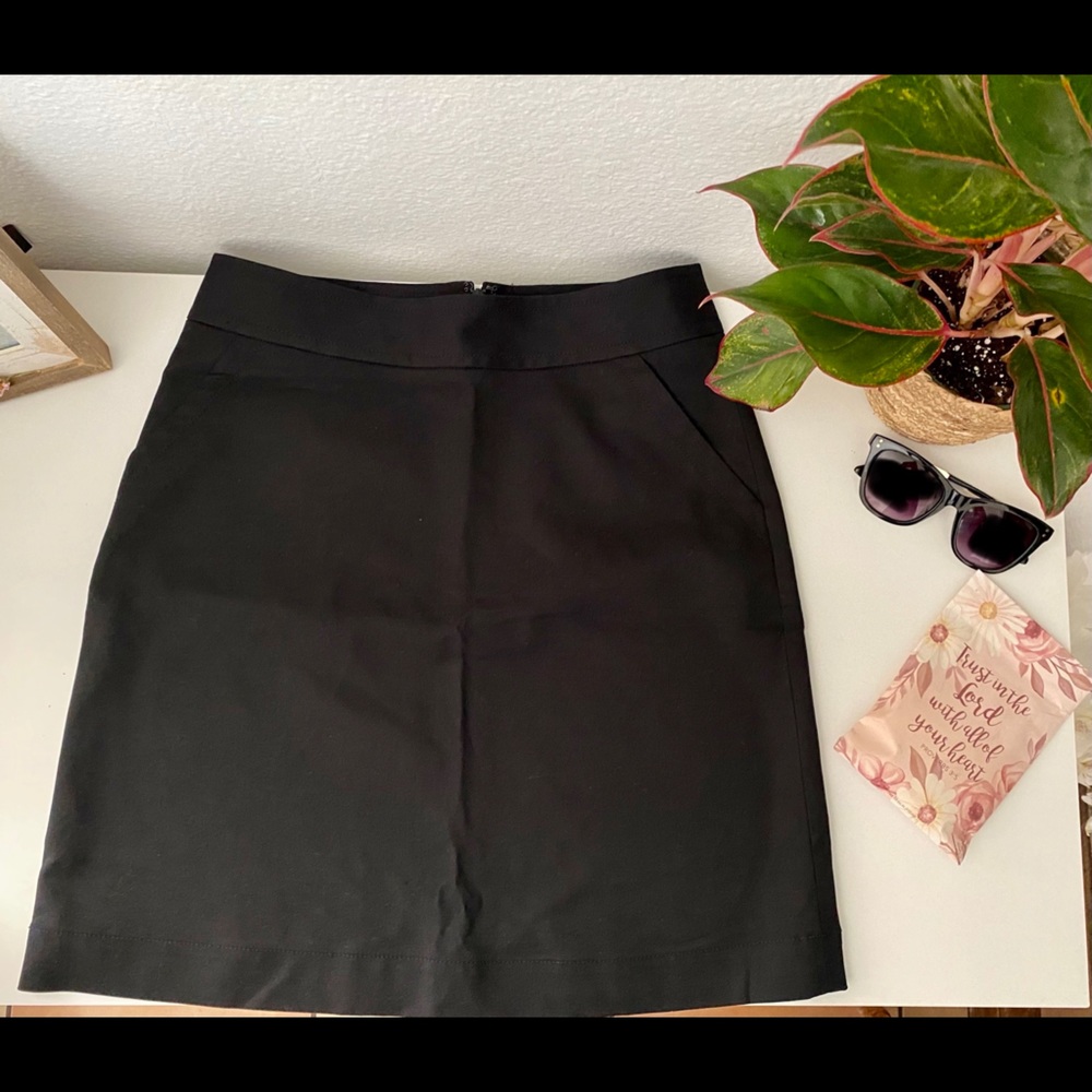 Banana Republic skirt